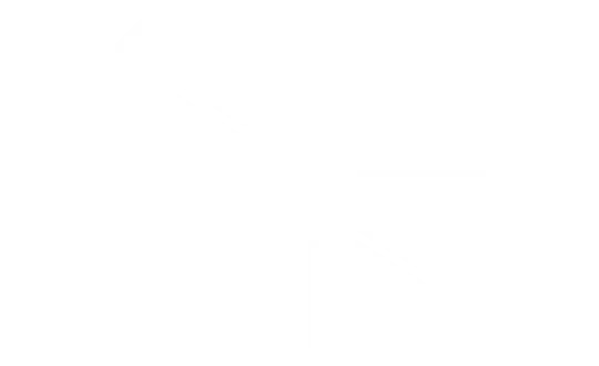 Janitorial  Maintenance