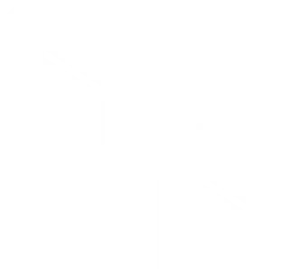 Janitorial  Maintenance